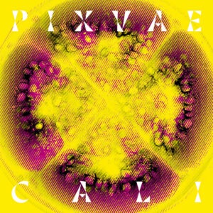 Cali - Pixvae